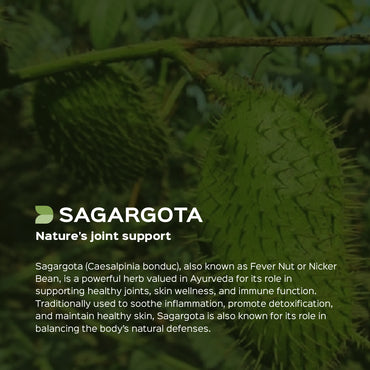 Sagargota Powder | Kalarchikai | Caesalpinia Bonducella