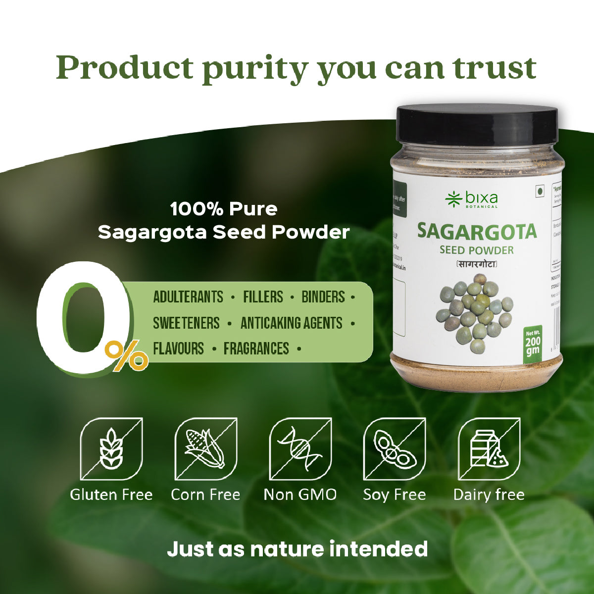 Sagargota Powder | Kalarchikai | Caesalpinia Bonducella