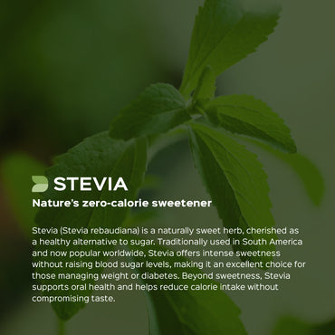Stevia Leaves Powder  Stevia Rebaudiana
