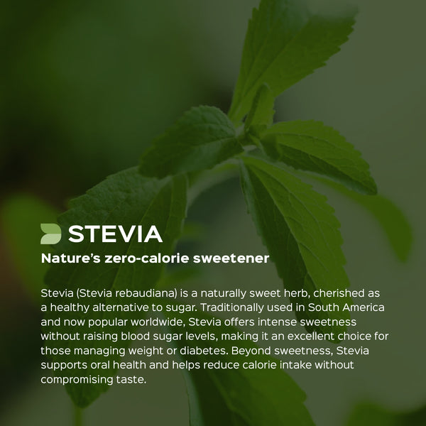 Stevia Leaves Powder  Stevia Rebaudiana