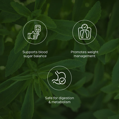 Stevia Leaves Powder  Stevia Rebaudiana