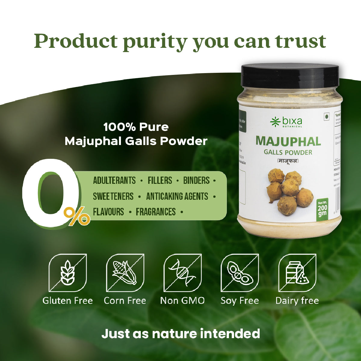 Majuphal / Oak galls Powder  Quercus infectoria