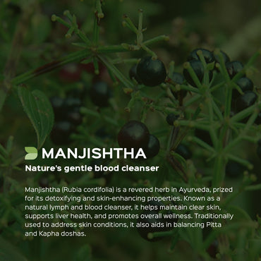 Manjistha Root Powder  Rubia Cordifolia