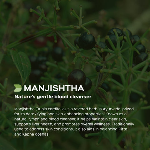 Manjistha Root Powder  Rubia Cordifolia