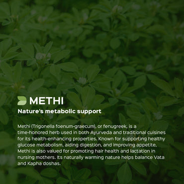 Methi/ Fenugreek Powder  Trigonella Foenum-Graecum
