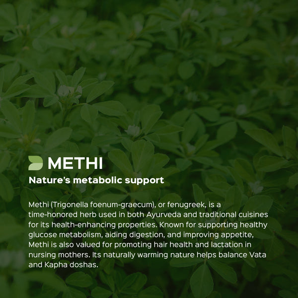 Methi/ Fenugreek Powder  Trigonella Foenum-Graecum