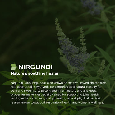 Nirgundi Leaves Powder  Vitex Negundo