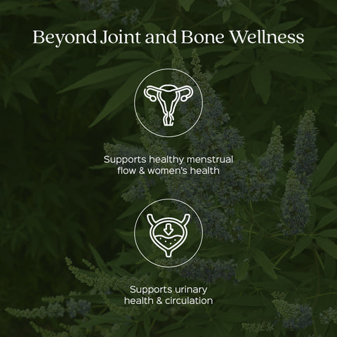 Nirgundi Leaves Powder  Vitex Negundo