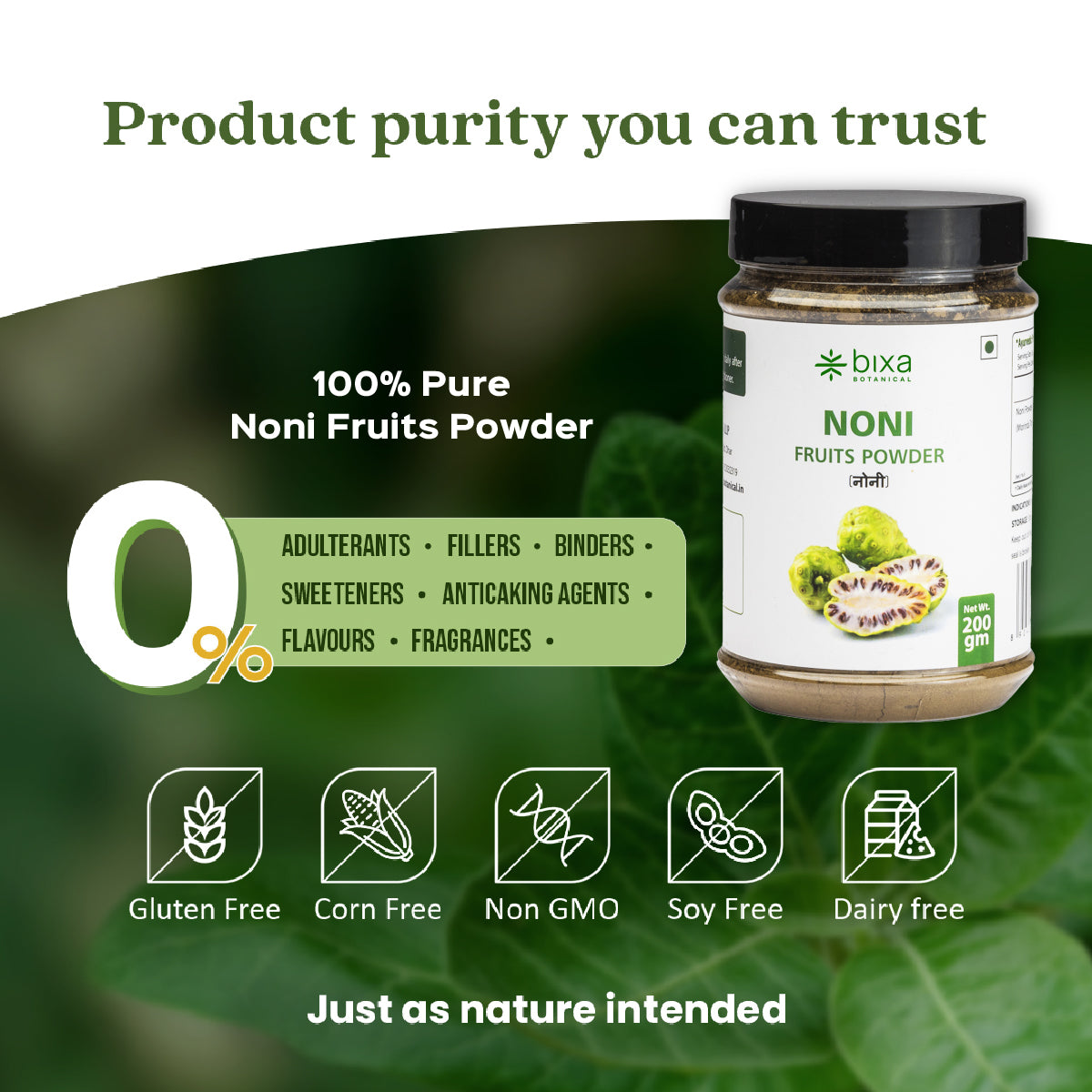 Noni Fruit Powder  Morinda Tinctoria