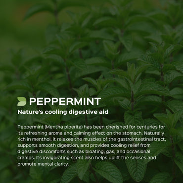 Peppermint Leaves Powder  Mentha Piperita