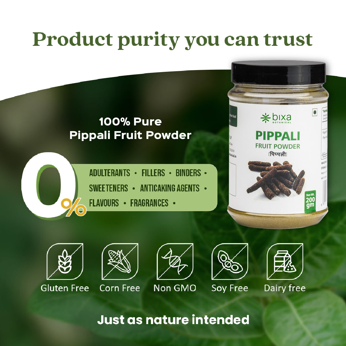 Pippali Fruit Powder  Piper Longum