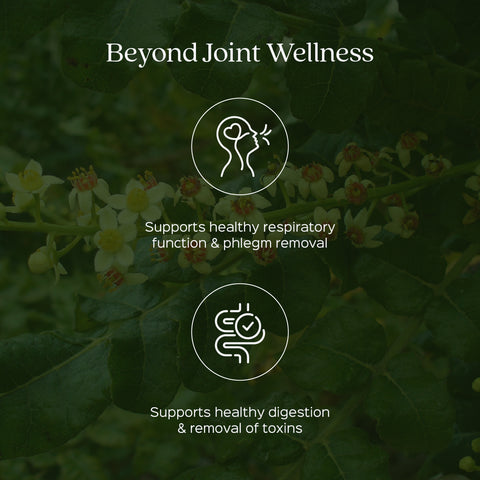 Boswellia Serrata / Shallaki Extract 60 Veg Capsules (450mg) 65% Boswellic acid