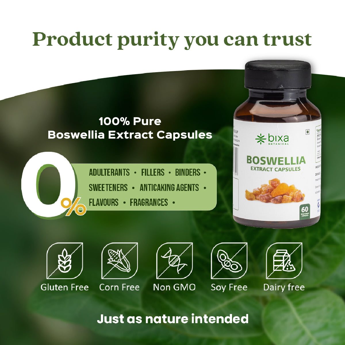 Maple Lifesciences Boswellia Serrata Extract Capsules - High Potency Anti-Inflammatory Dietary Supplement
