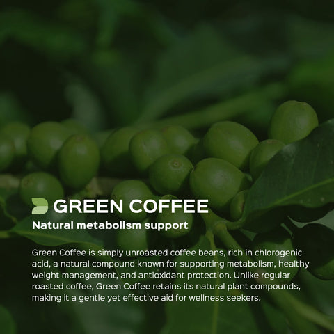 Green Coffee Beans Powder | Coffea Robusta