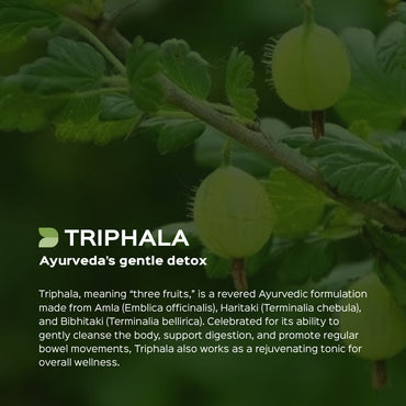 Triphala Extract 60 Veg Capsules (450mg) 40% Tannins