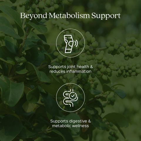 Guggul /Commiphora mukul Extract 60 Veg Capsules (450mg) 2.5% Guggulsterones