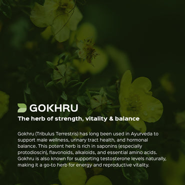 Gokhru / Tribulus Extract 60 Veg Capsules (450mg) 40% Saponins