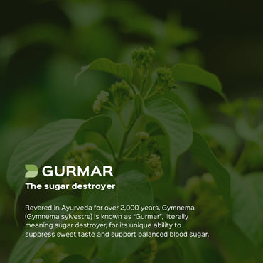 Gymnema / Gudmar Extract 60 Veg Capsules (450mg) 25% Gymnemic acids