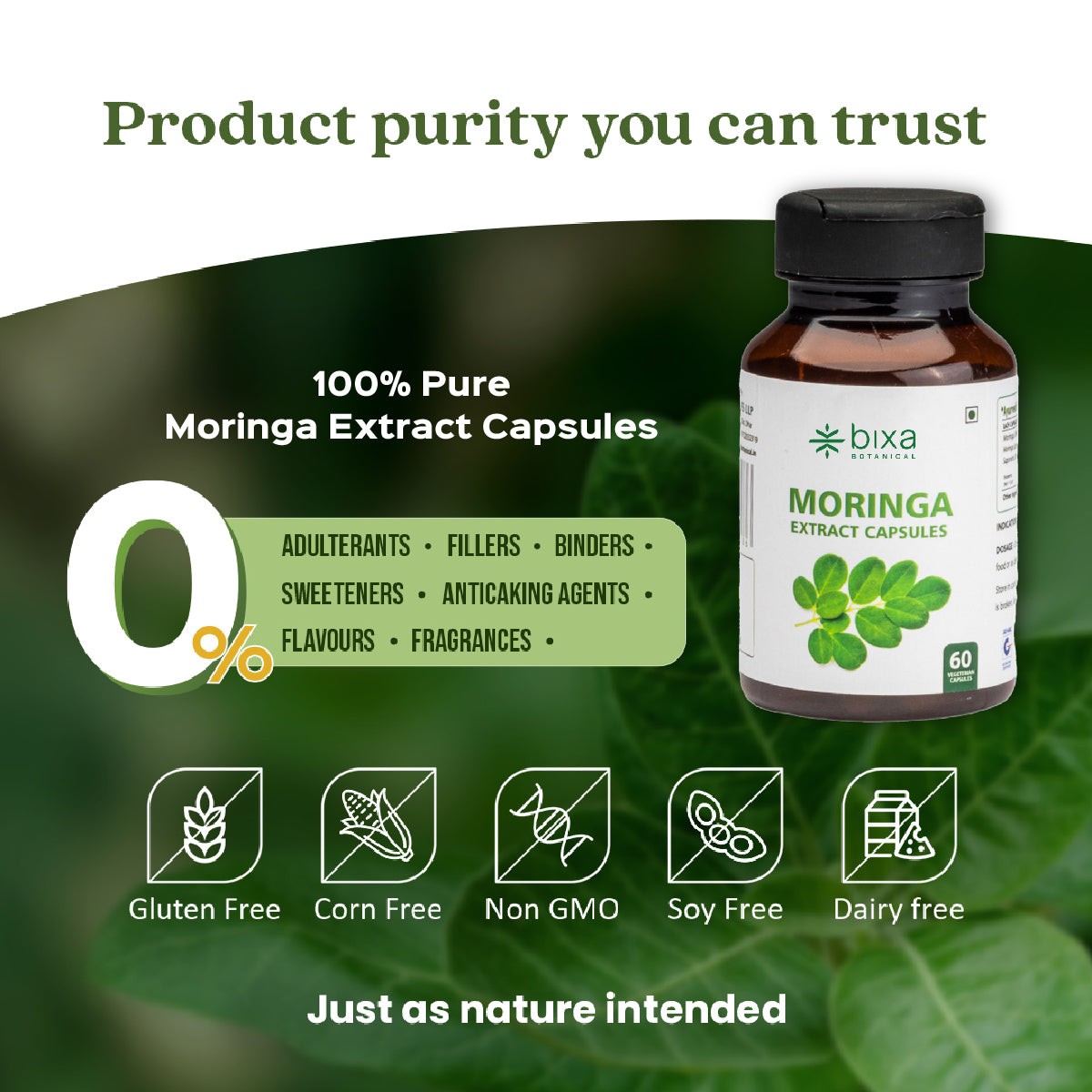 Moringa / Shigru Extract 60 Veg Capsules (450mg) 1% Alkaloids