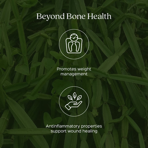 Cissus / Hadjod Extract 60 Veg Capsules (450mg)  2.5% 3-keto steroids