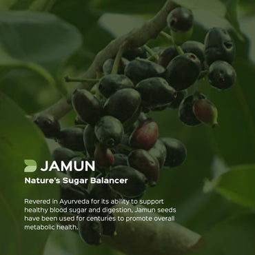 Jamun Extract 60 Veg Capsules (450mg) 5% Bitters