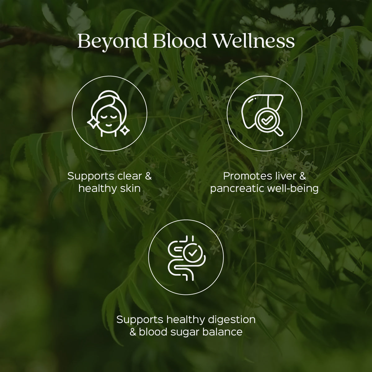 Neem Leaf Extract 60 Veg Capsules (450mg) 3% Bitters