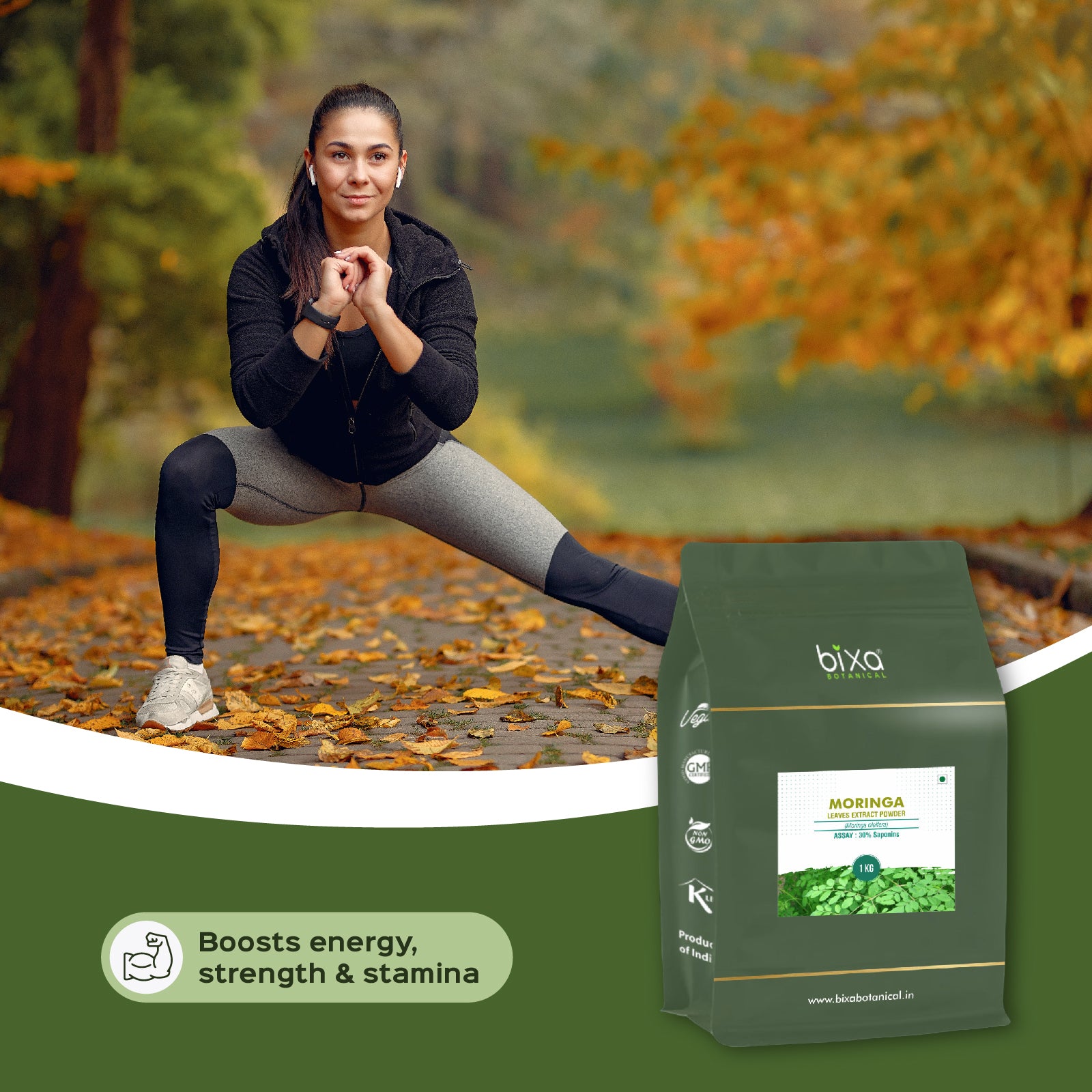 Moringa/ Shigru (Moringa Oleifera) Dry Extract - 30% Saponins by Gravimetry