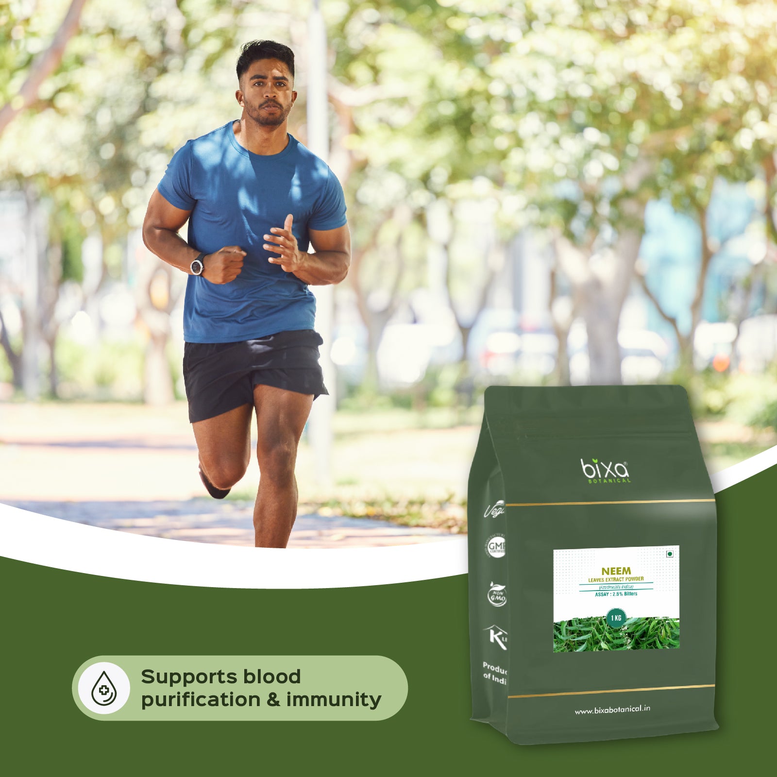 Neem (Azadirchta indica) dry Extract - 2.5% Bitters by Gravimetry