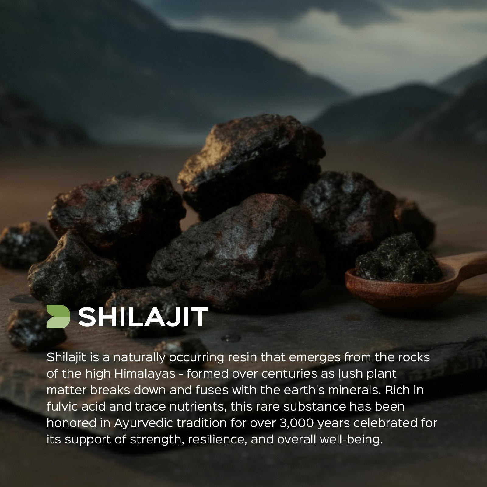 Shilajit (Asphaltum) Dry Extract - 40% Fulvic acid by Gravimetry