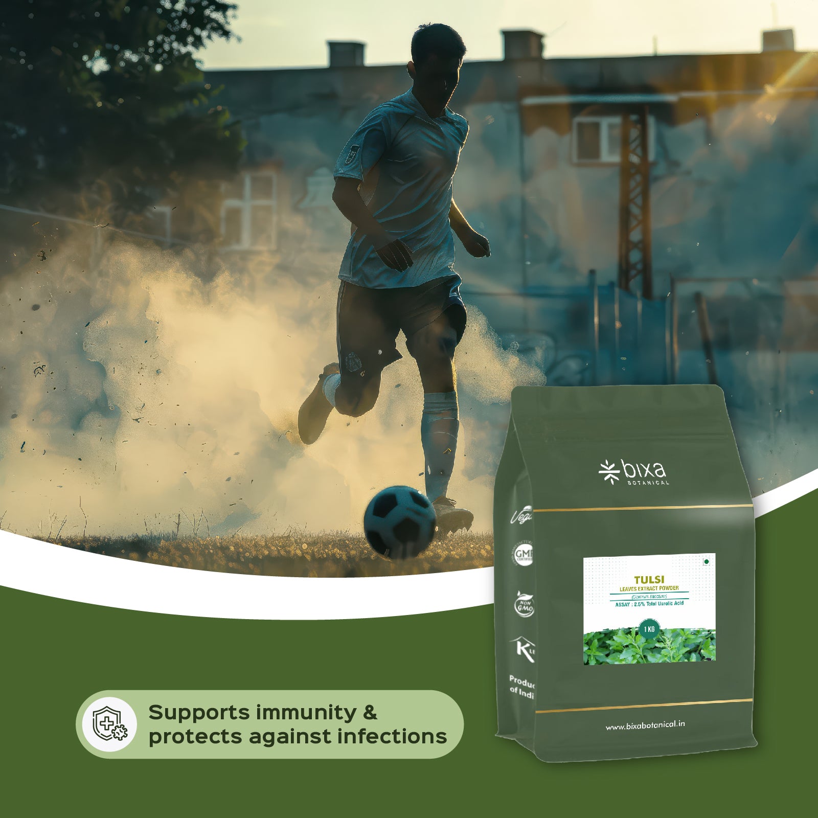 Holy Basil / Tulsi (Ocimum Sanctum) Dry Extract - 2.5% Total Usrolic Acid by HPLC