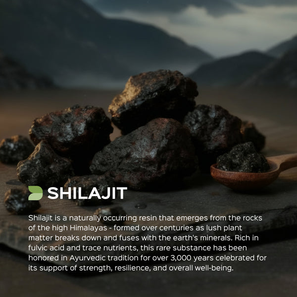 Shilajit Extract 60 Veg Capsules (450mg) 40% fulvic acid