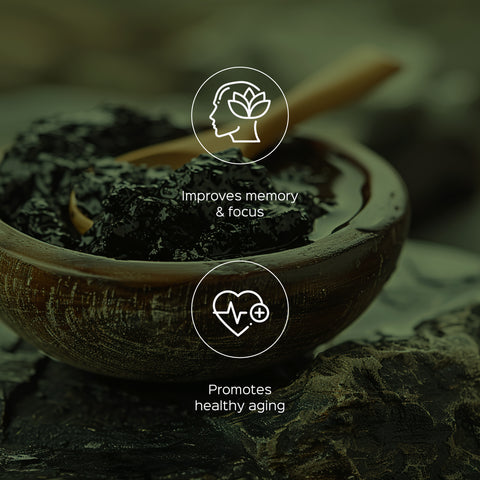 Shilajit Extract 60 Veg Capsules (450mg) 40% fulvic acid