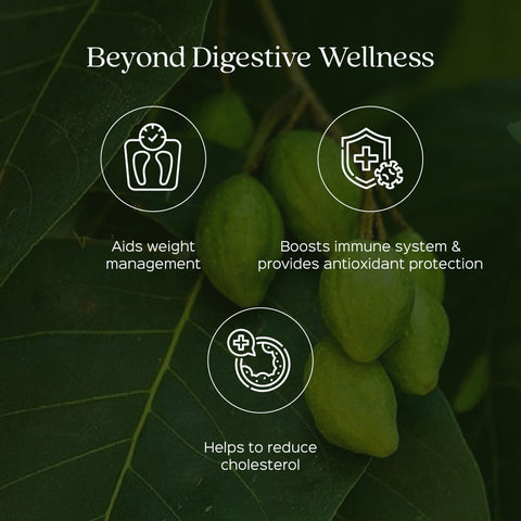 Triphala Fruit Powder  Amla + Haritaki + Bibhitaki