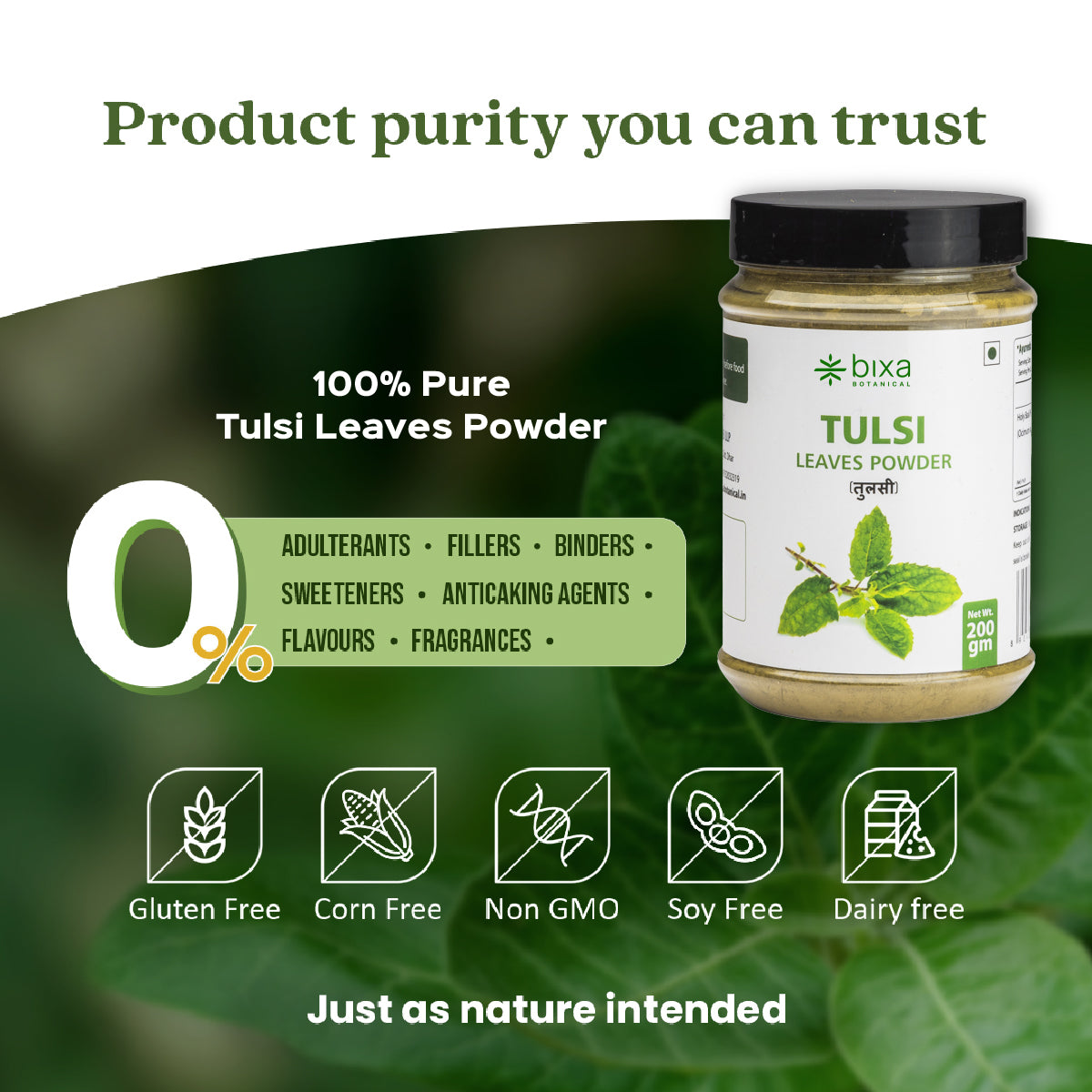 Tulsi Leaves Powder  Ocimum Sanctum
