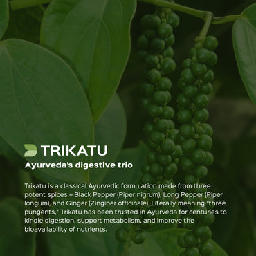 Trikatu Root & Fruits Powder  GINGER + KALIMIRI + PIPPALI