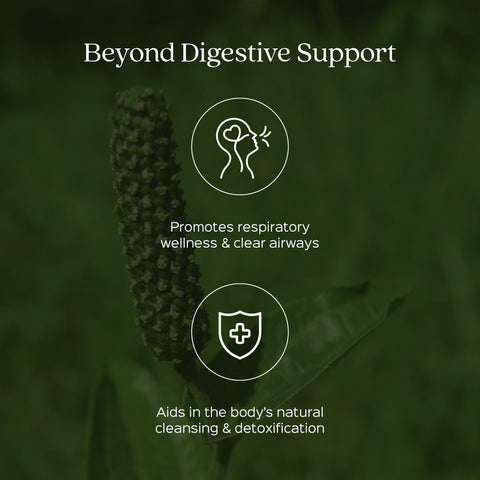 Trikatu Root & Fruits Powder  GINGER + KALIMIRI + PIPPALI