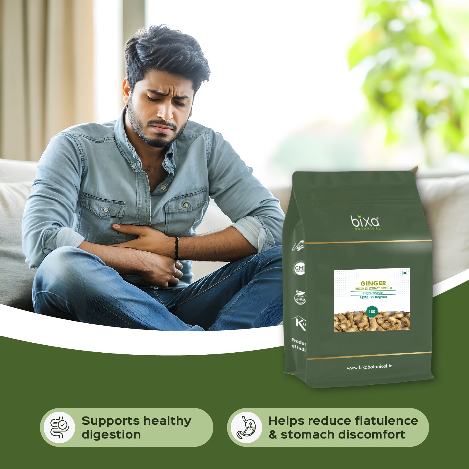 Ginger (Zingiber Officinale) Dry Extract - 5% Gingerols by UV