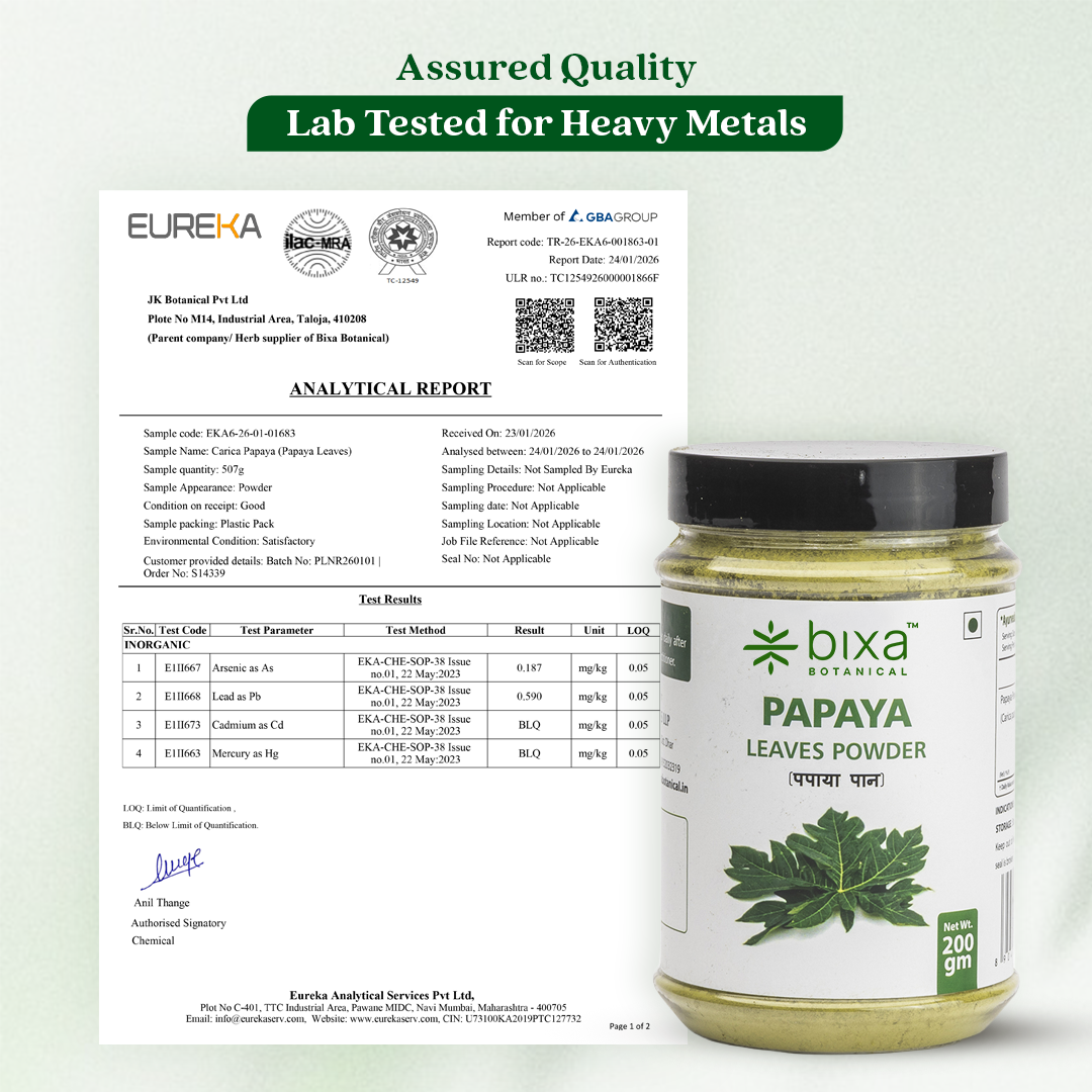 Papaya Leaves Powder ( Carica Papaya )
