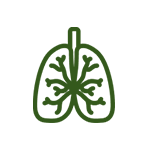 Respiratory Wellness