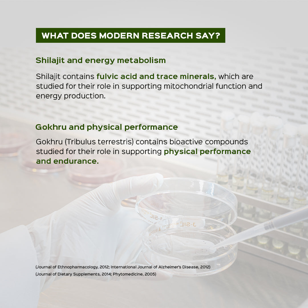 Energy and Endurance pack | Shilajit Resin + Gokhru powder | Combo