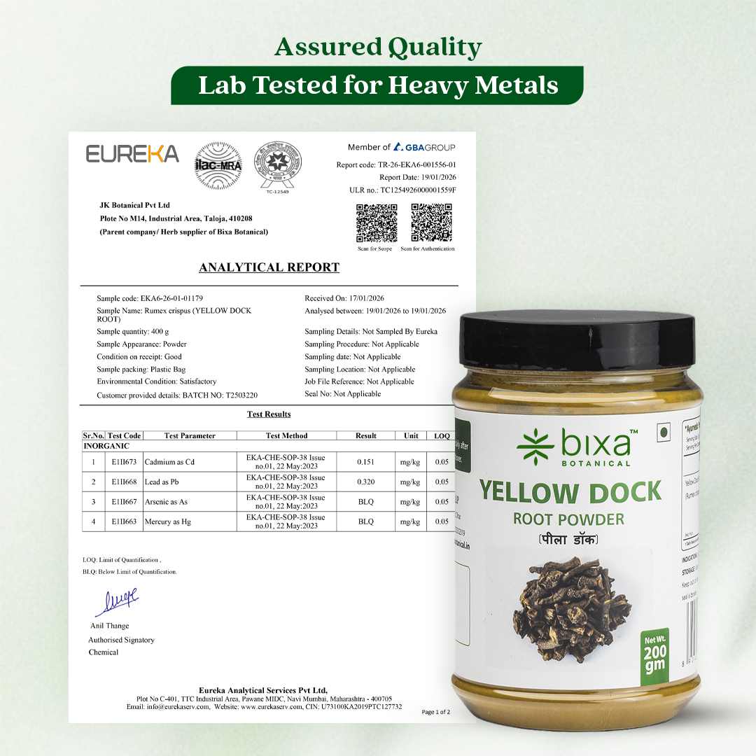 Yellow Dock Root Powder ( Rumex Crispus )