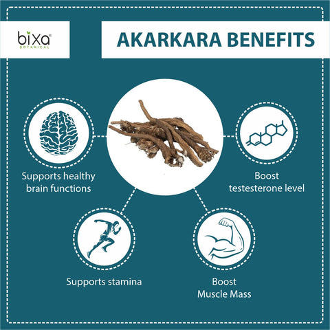 Akarkara Root Powder  ( Anacyclus Pyrethrum, Pellitory )