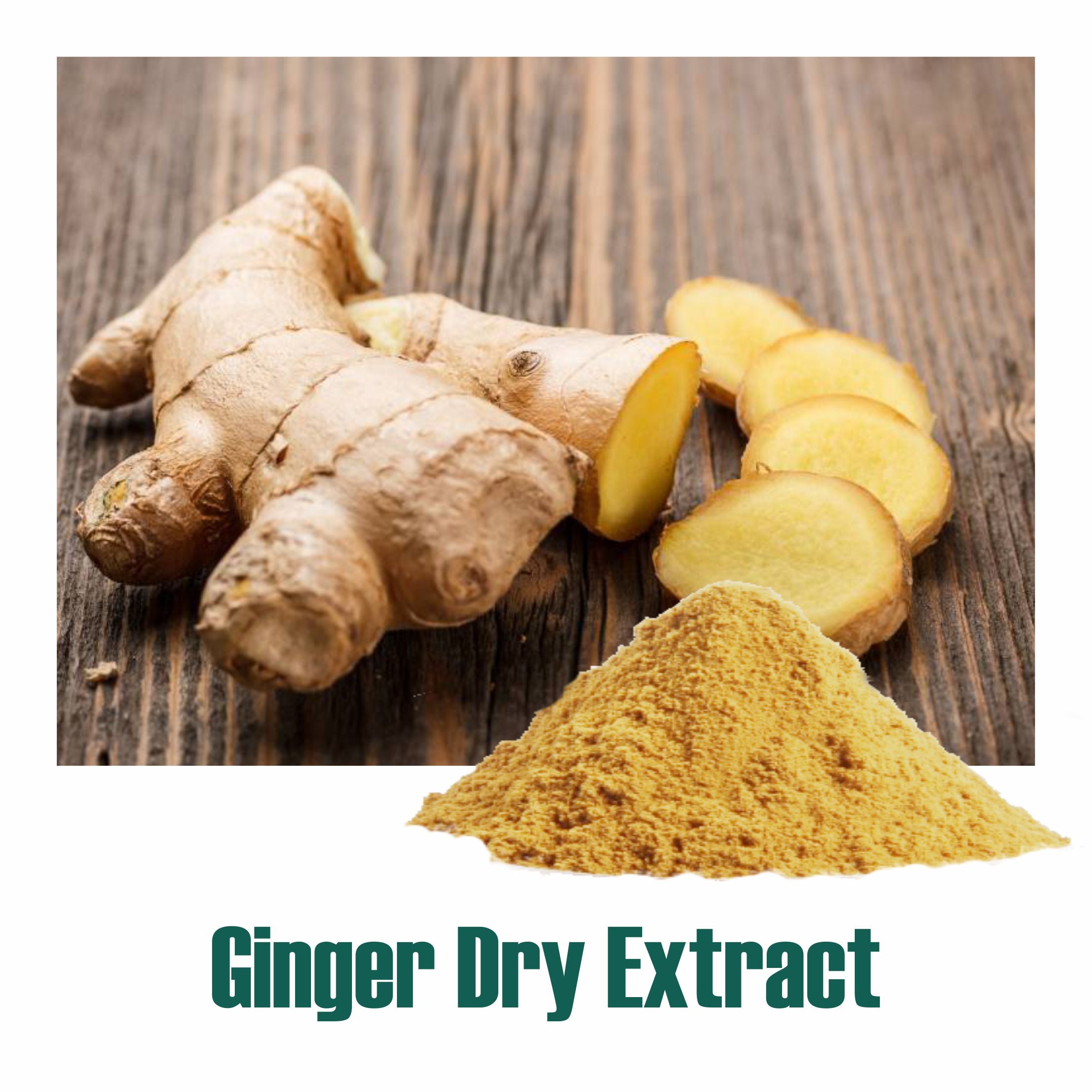 Ginger (Zingiber Officinale) Dry Extract - 5% Gingerols by UV