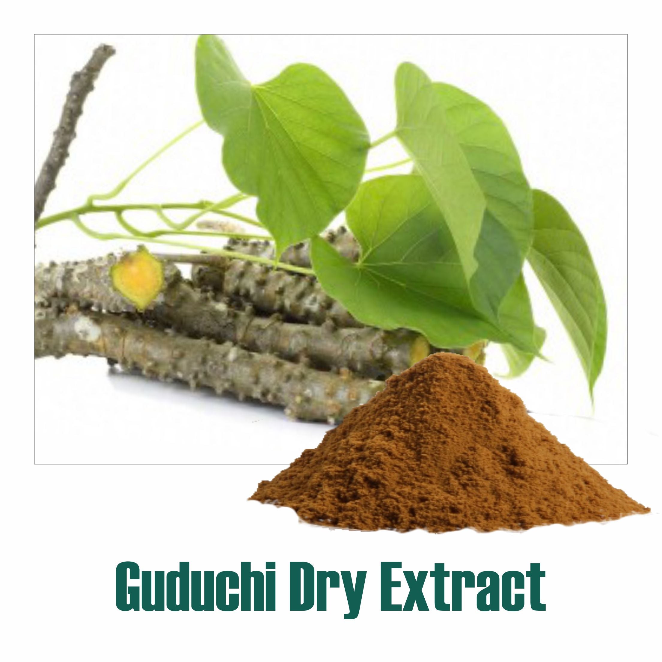 Giloy (Guduchi /Tinospora Cordifolia) dry Extract - 2.5% Bitters by Gravimetry Guduchi
