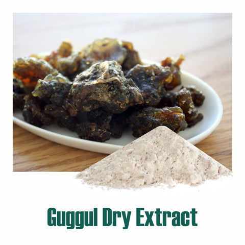 Guggul (Commiphora mukul) dry Extract - 2.5% Guggulsterones by UV