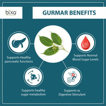 Gymnema / Gudmar Extract 60 Veg Capsules (450mg) 25% Gymnemic acids