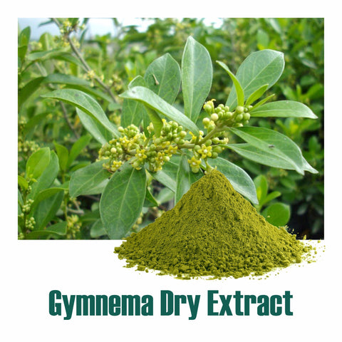 Gurmar (Gymnema sylvestre) dry Extract - 25% Gymnemic acid by Gravimetry
