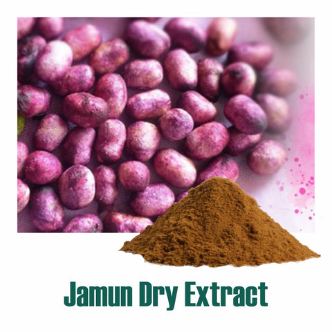 Jamun Dry Extract 