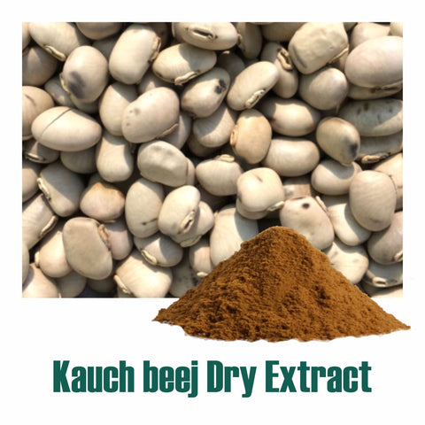 Kaunch beej (Mucuna pruriens) dry Extract - 20% L-Dopa by Titration