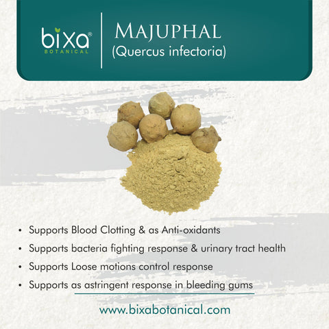 Majuphal / Oak galls Powder  Quercus infectoria